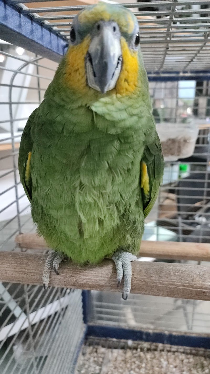 Animal Planet Store - Foto 6