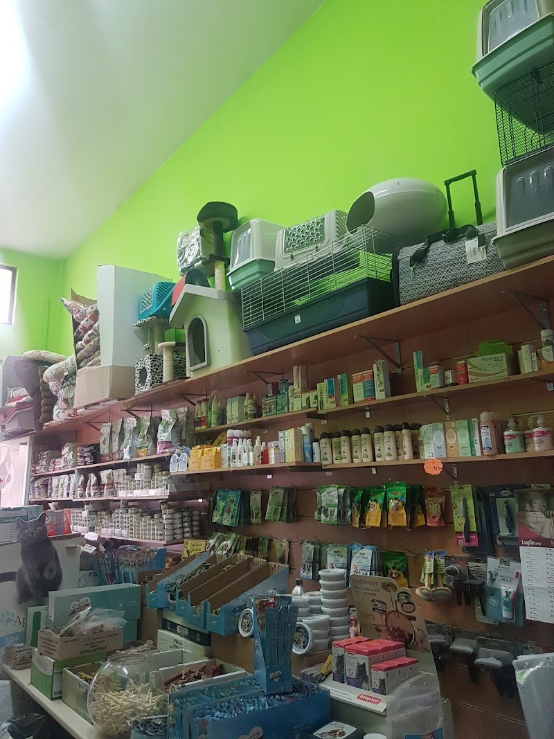 Animal Service Di Sarcina Anna - Foto 1