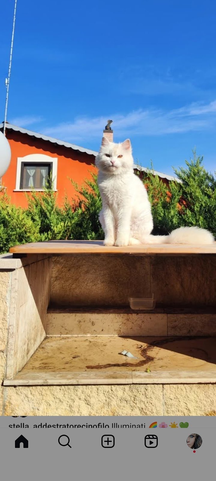 Animal Service Di Sarcina Anna - Foto 2