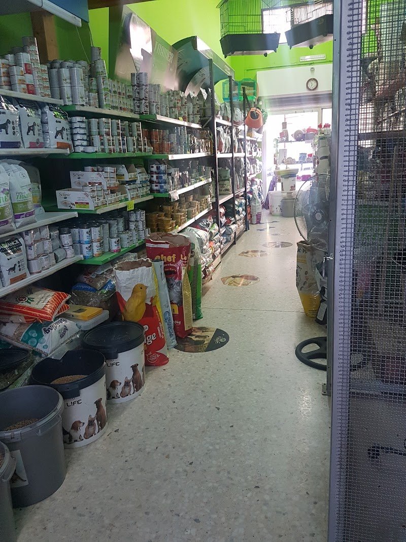 Animal Service Di Sarcina Anna - Foto 3