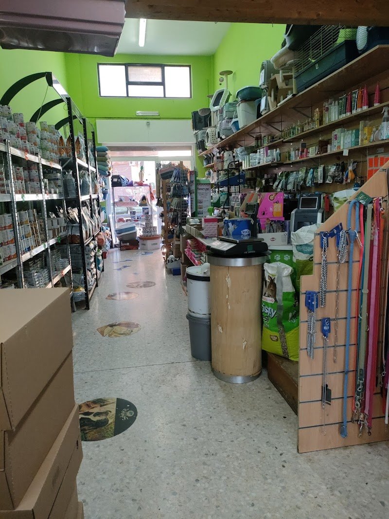 Animal Service Di Sarcina Anna - Foto 5