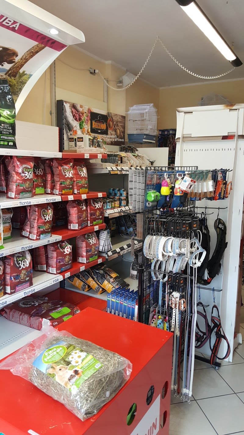 Animal shop dall'alano alla zebra - Foto 3