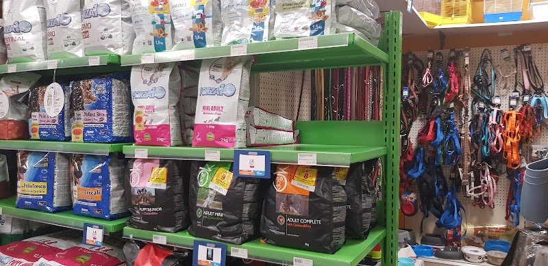 Animal Store - Foto 4