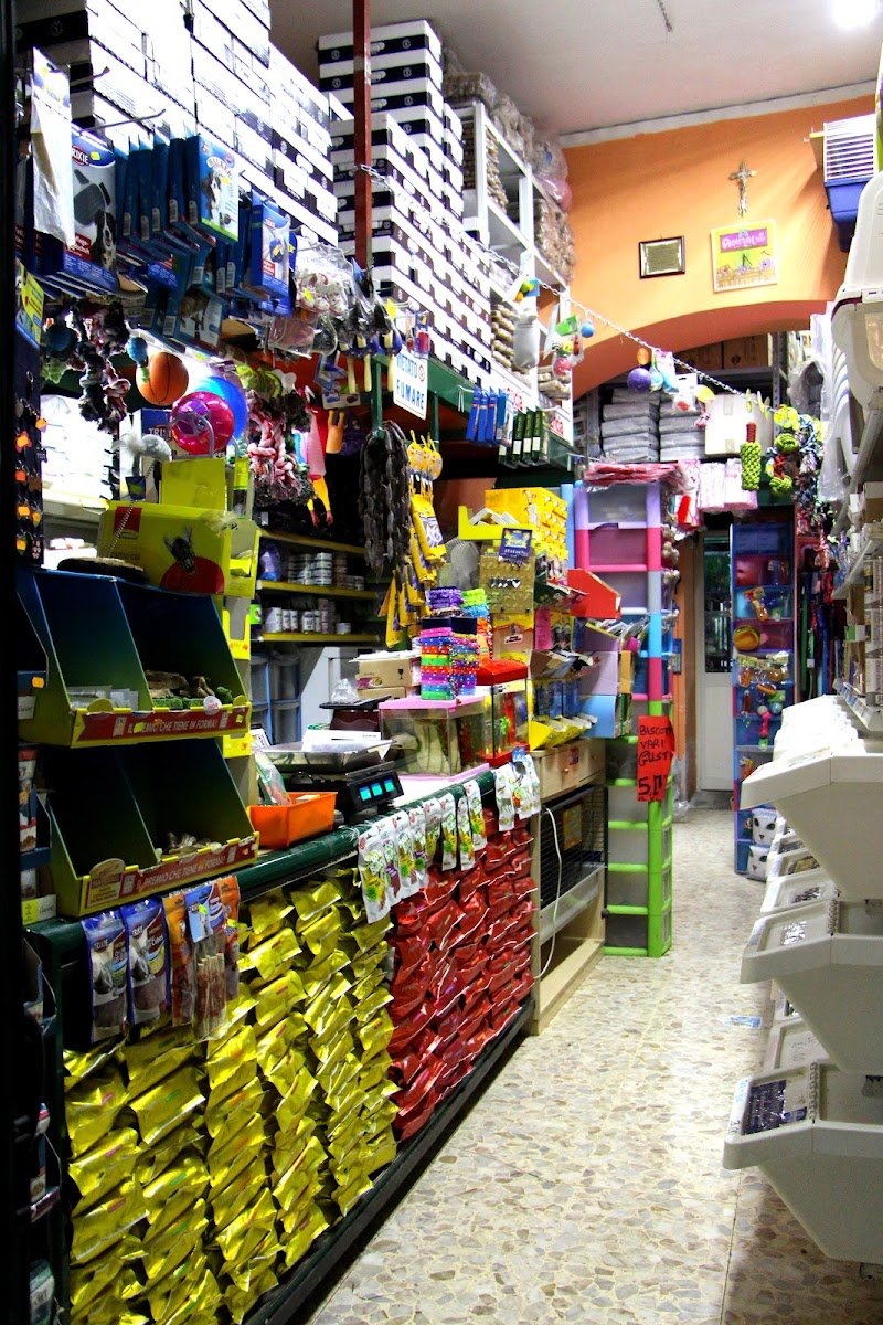 Animal store di Ippolito A. - Foto 2