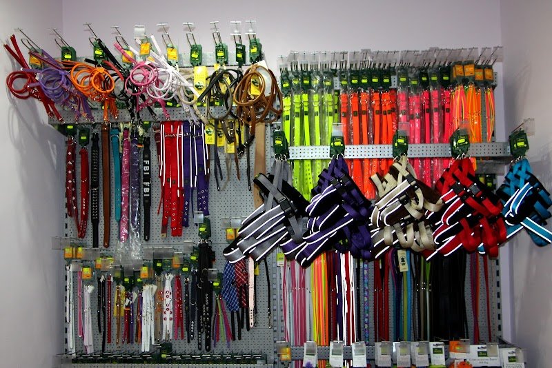 Animal store di Ippolito A. - Foto 4