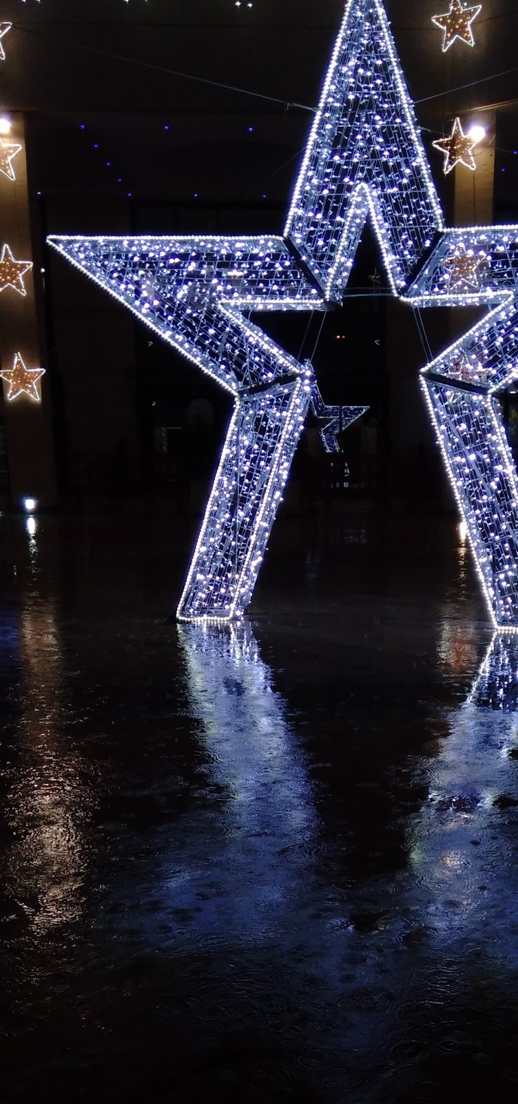 Animal Store e Toelettatura - Viale Calabria - Foto 2