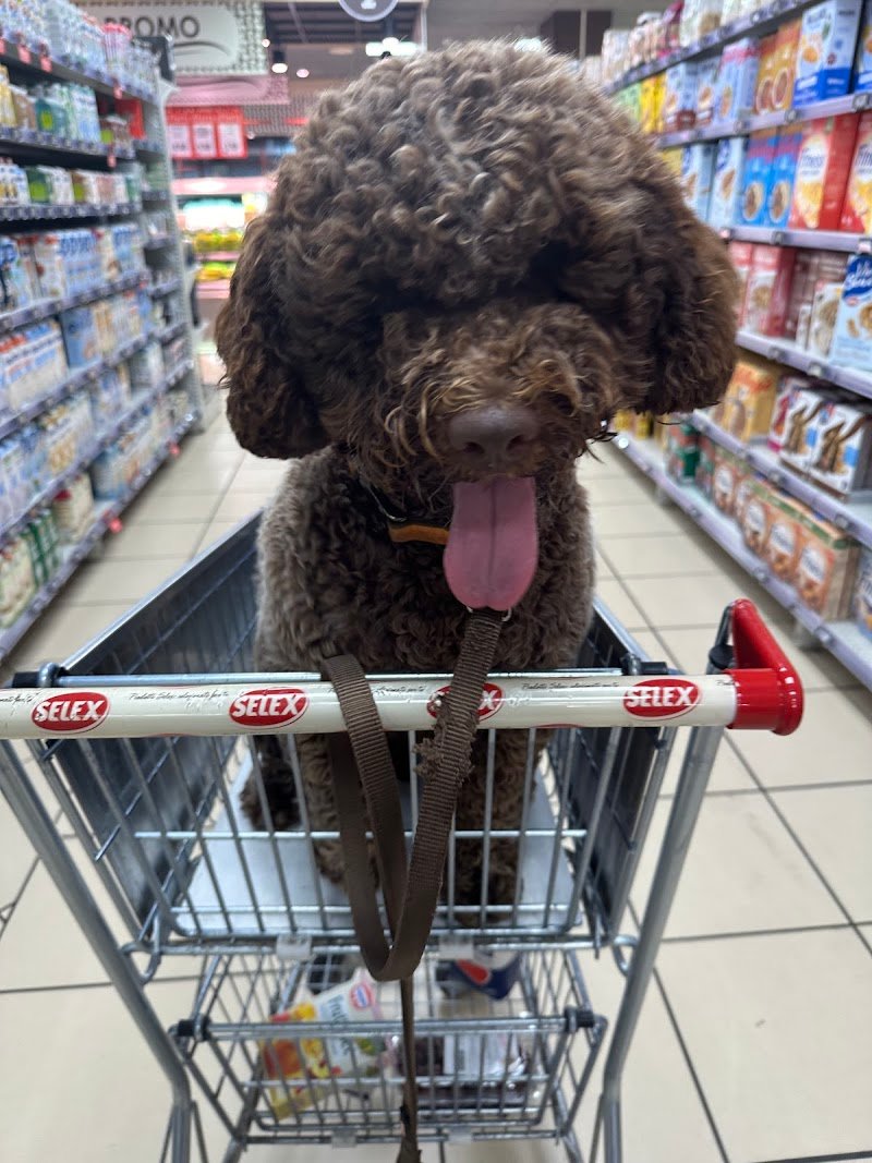 Animal style - Foto 2