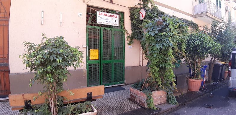 Animalandia di Adele Cucinotta - Foto 2