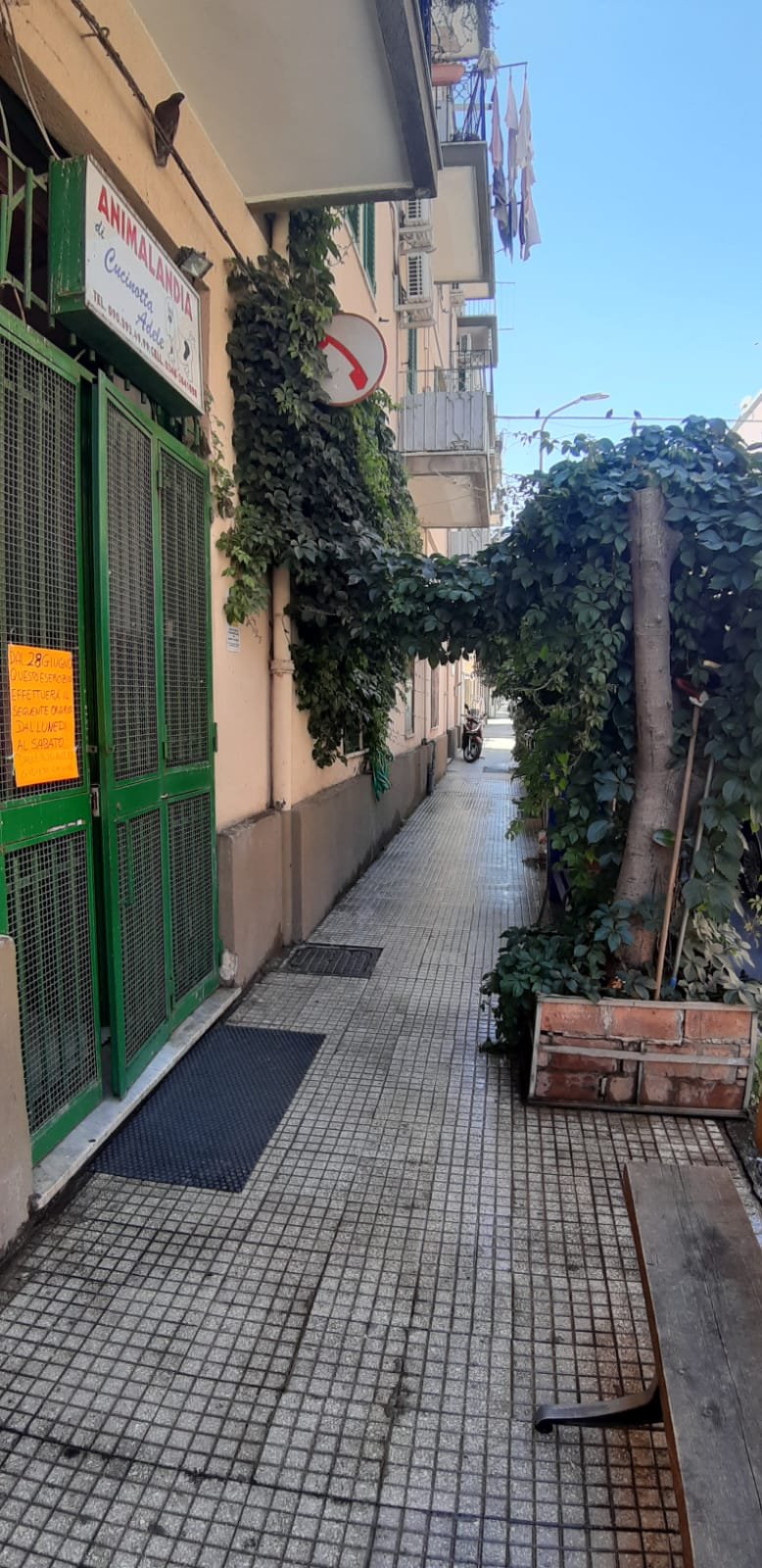 Animalandia di Adele Cucinotta - Foto 6