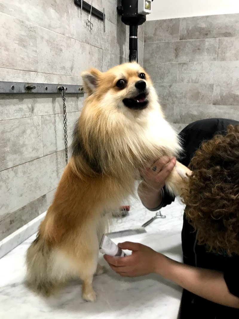 Animalandia - Foto 5