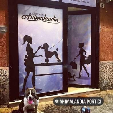 Animalandia - Foto 1