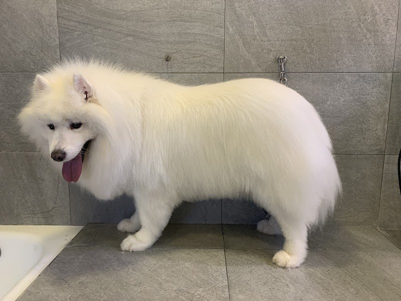 Animalandia - Foto 2