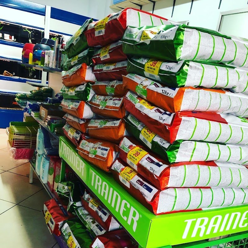 Animalhouse_italia - Foto 6