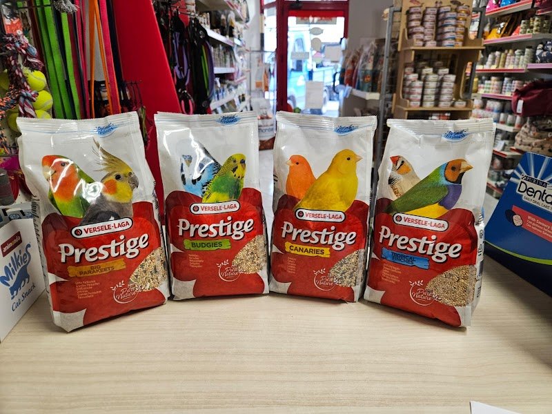 Animali Amici - Foto 6