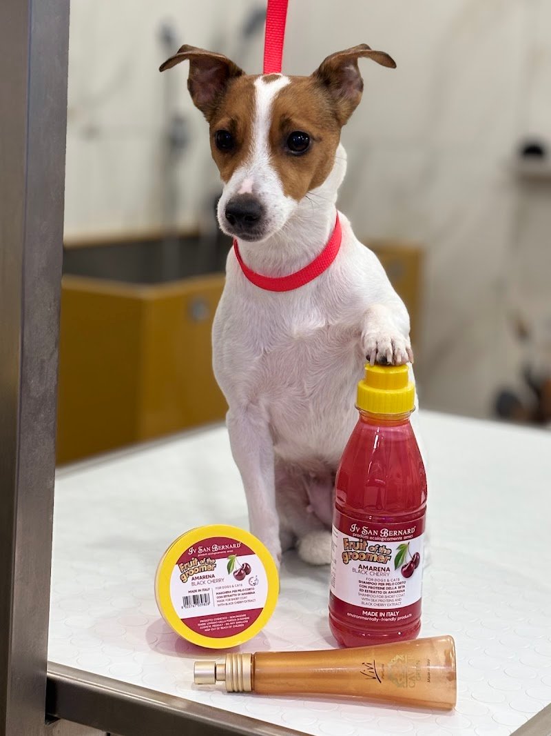 Animali Fantastici di Giugno Raffaele - Foto 1