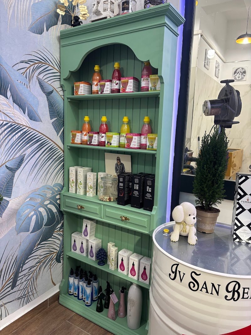 Animali Fantastici di Giugno Raffaele - Foto 3