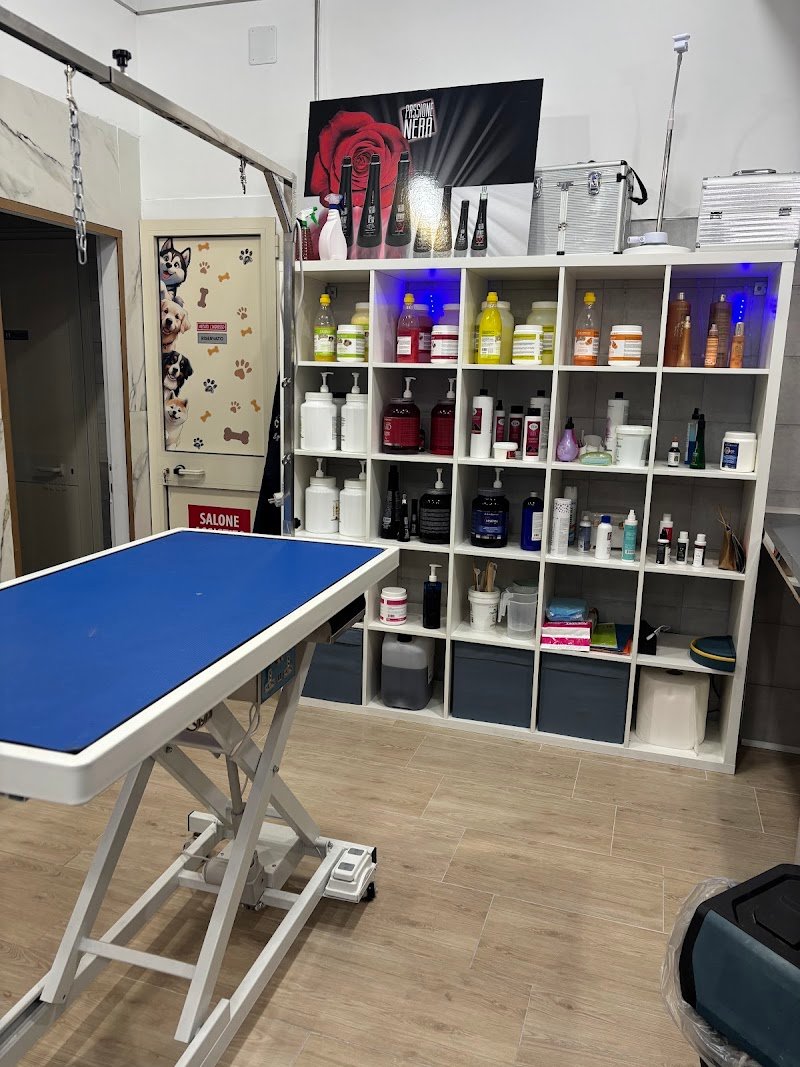 Animali Fantastici di Giugno Raffaele - Foto 6