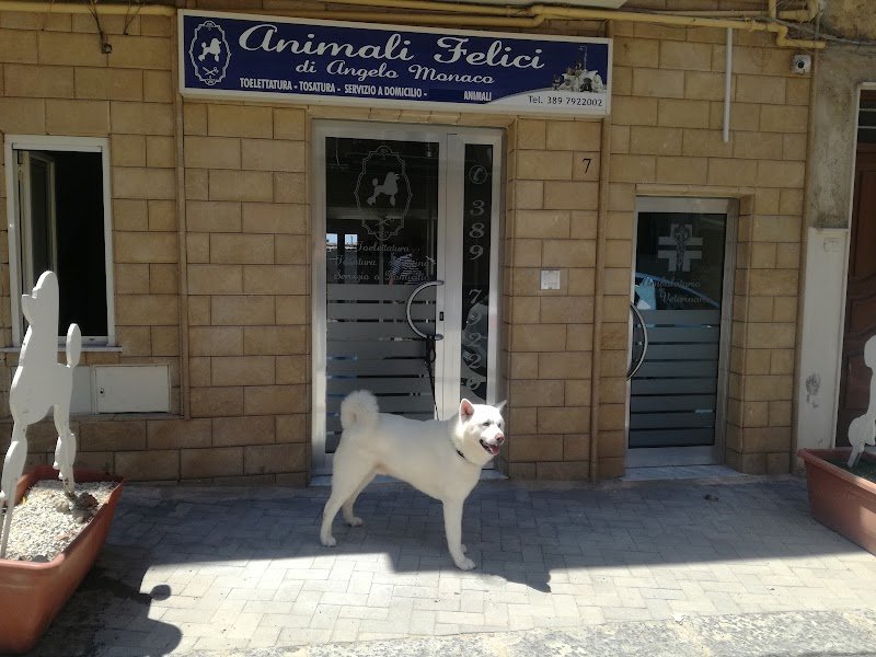Animali Felici di Monaco Angelo - Foto 1