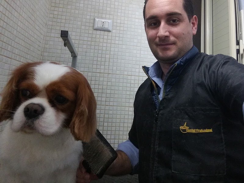 Animali Felici di Monaco Angelo - Foto 2