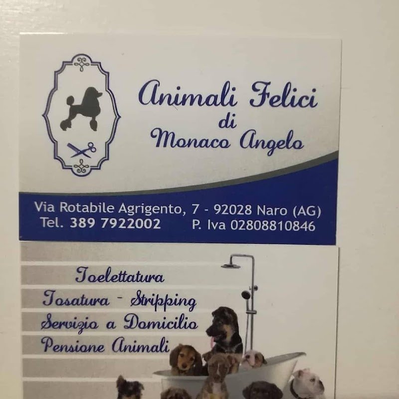 Animali Felici di Monaco Angelo - Foto 4