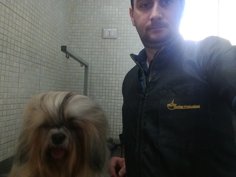 Animali Felici di Monaco Angelo - Foto 5