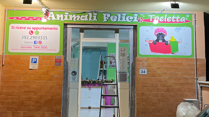 Animali felici Toeletta - Foto 1