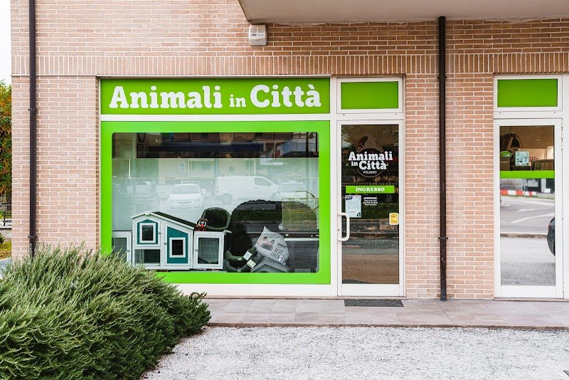 Animali in città - Foto 1