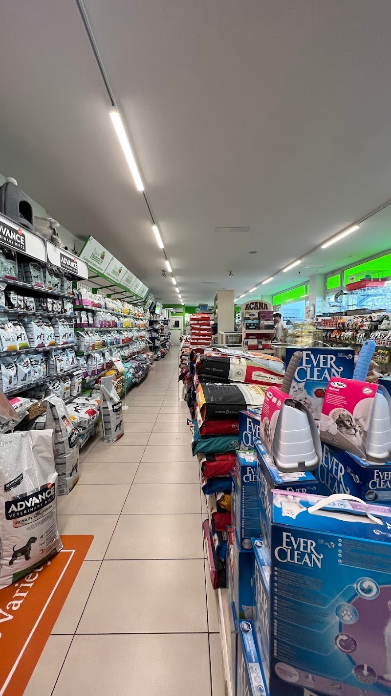 Animali in città - Foto 3