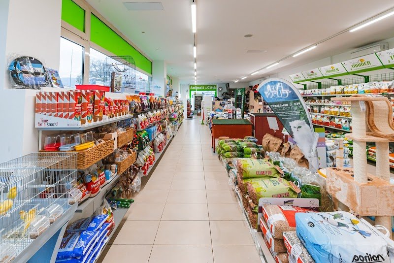 Animali in città - Foto 5