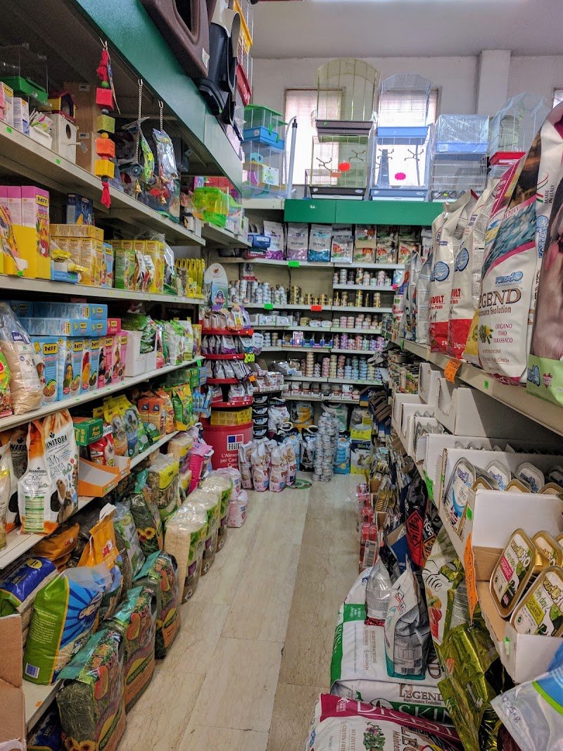 Animalia pet shop & toeletta - Foto 2