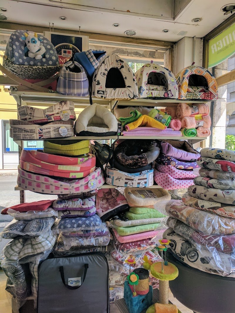 Animalia pet shop & toeletta - Foto 4