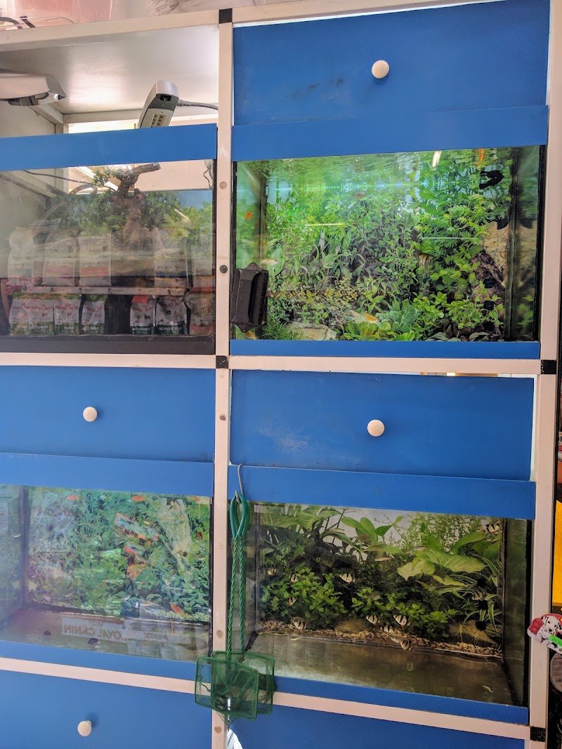 Animalia pet shop & toeletta - Foto 6