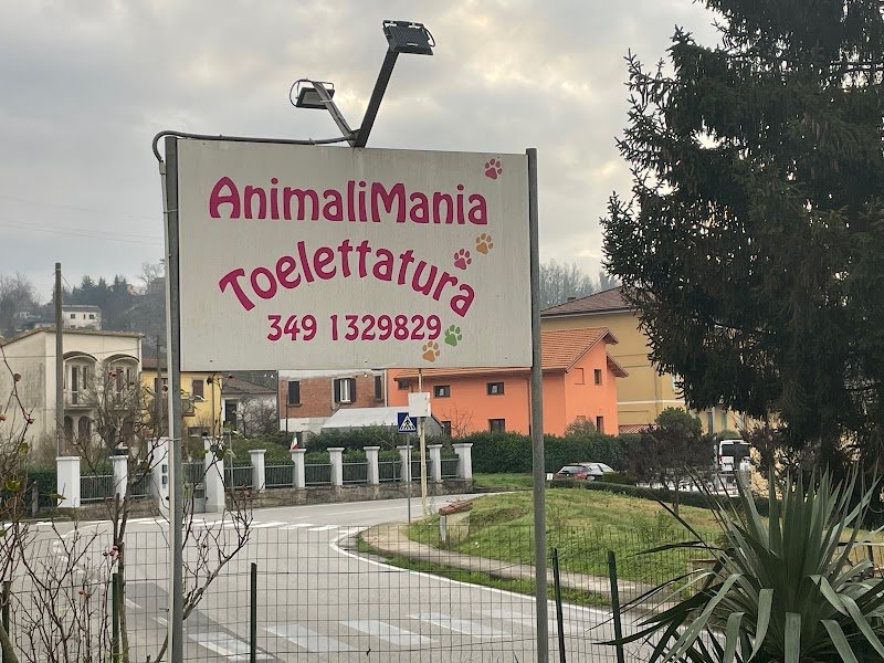AnimaliMania - Foto 2