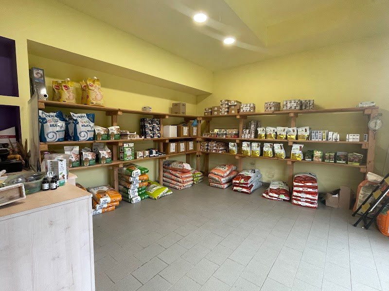 AnimaliMania - Foto 3