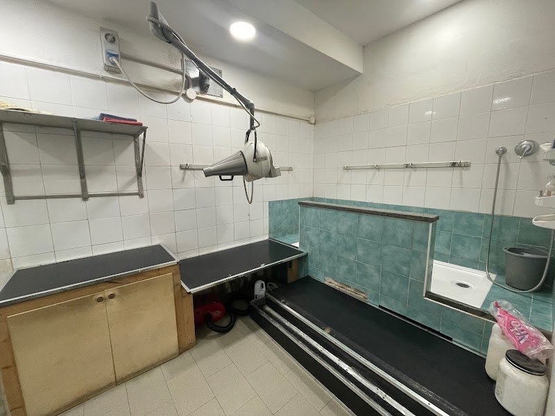 AnimaliMania - Foto 4