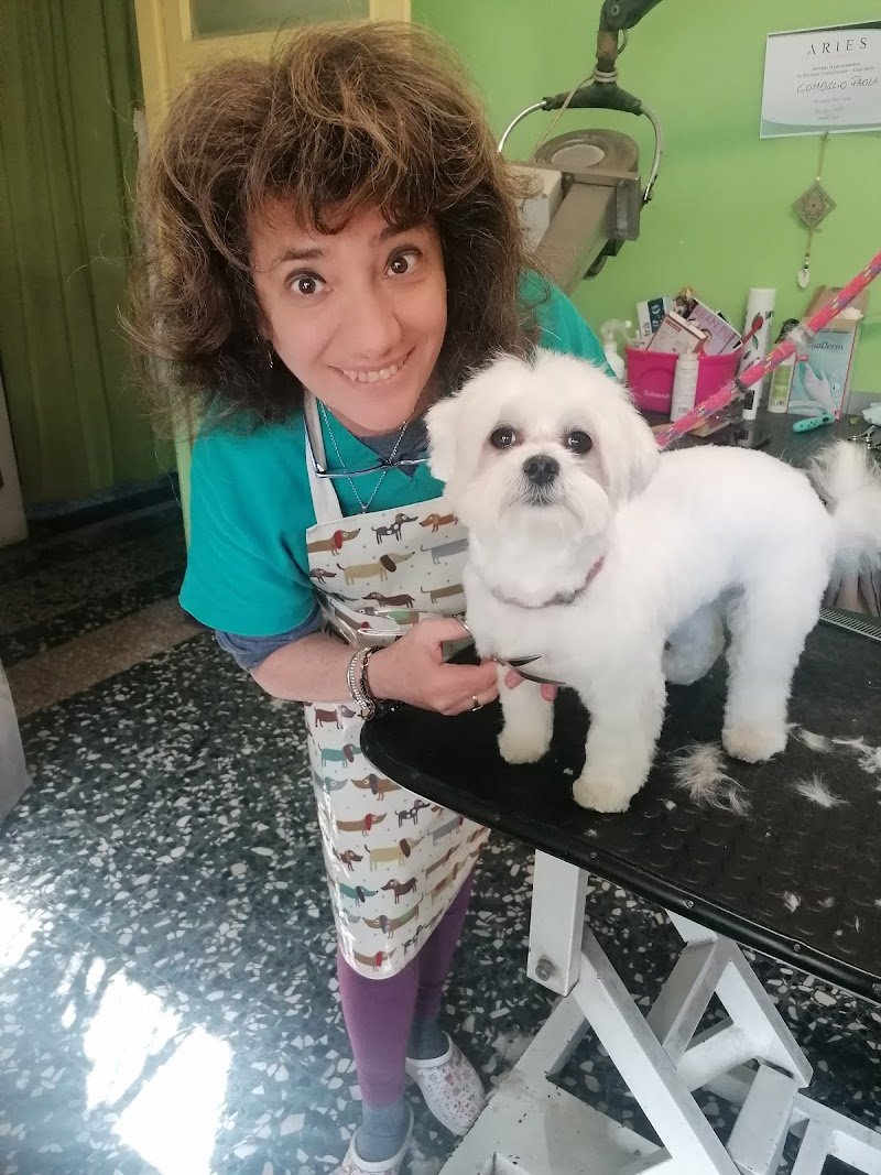 Animal's Club di Comoglio Paola - Foto 1