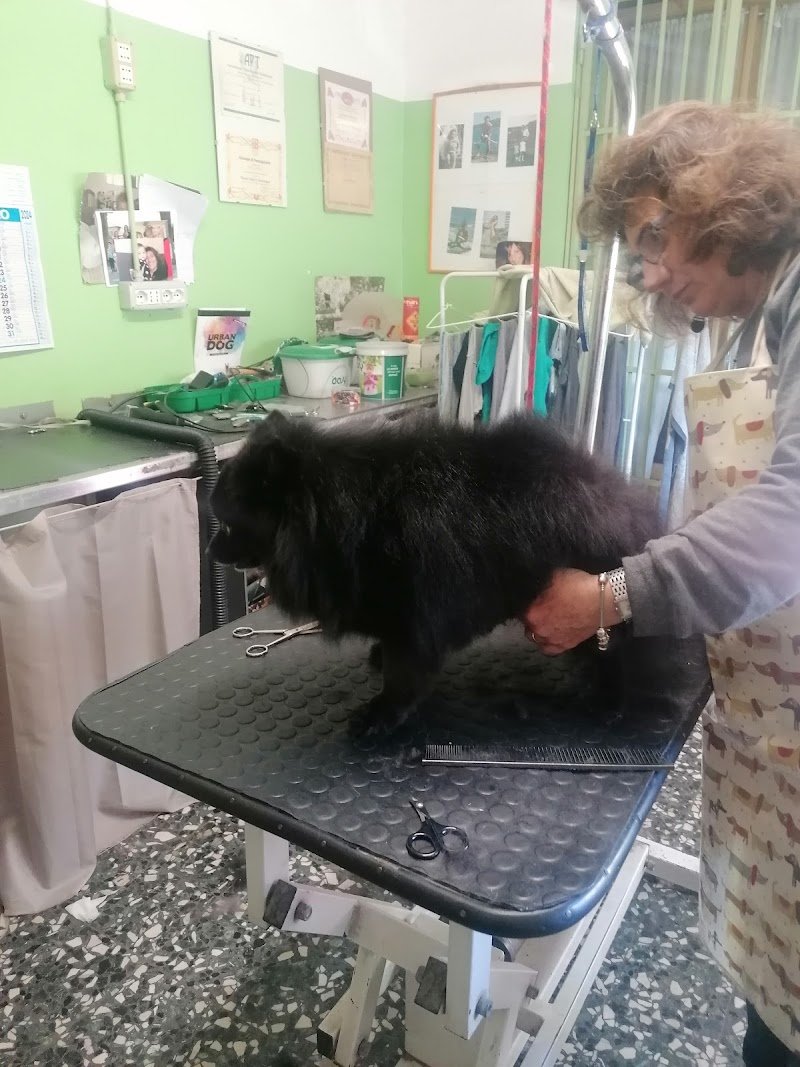 Animal's Club di Comoglio Paola - Foto 5