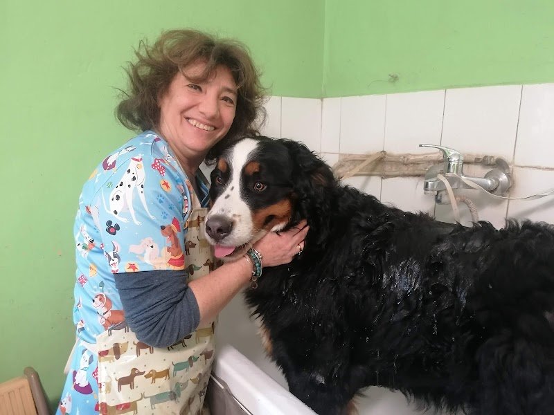 Animal's Club di Comoglio Paola - Foto 6