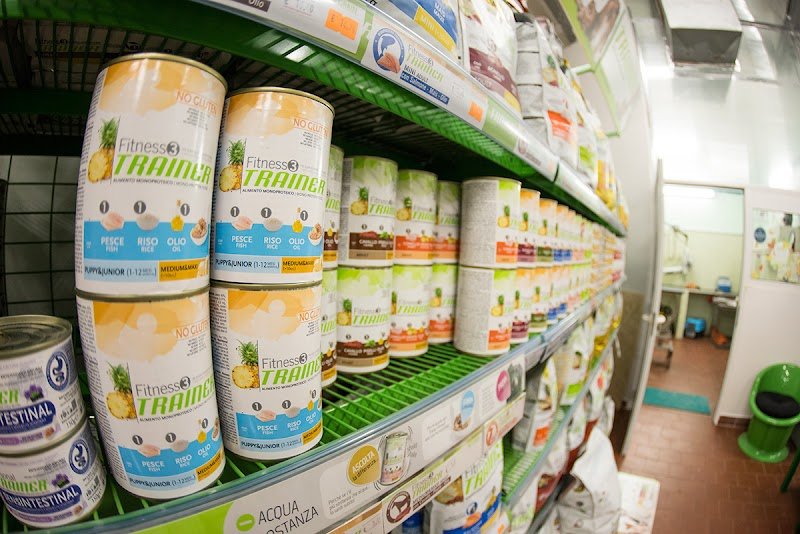 Animals’ Club - Foto 2