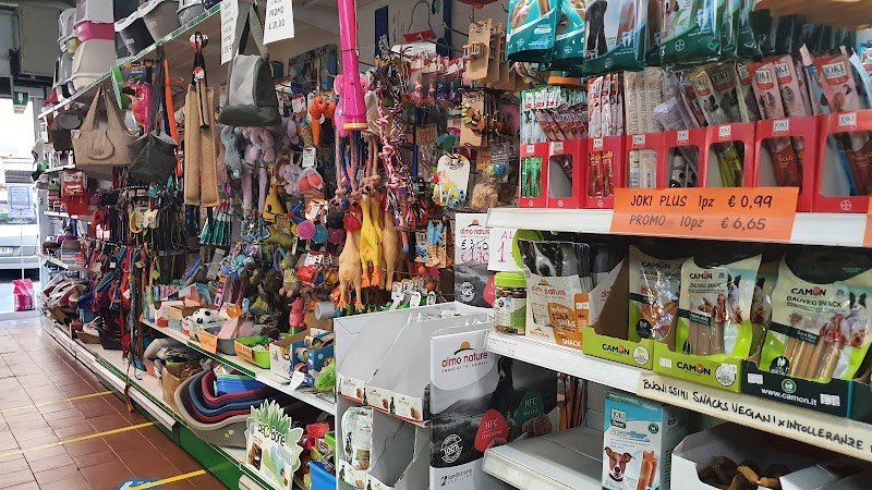 Animals’ Club - Foto 4