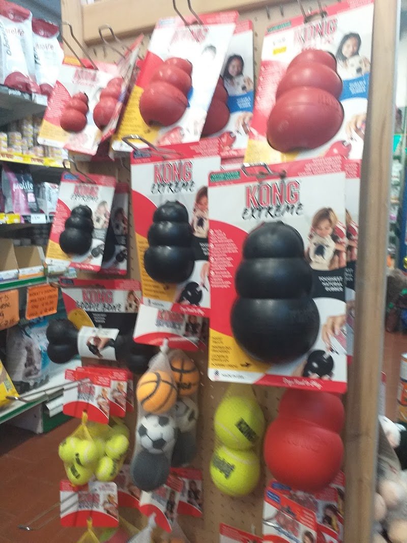 Animals’ Club - Foto 6