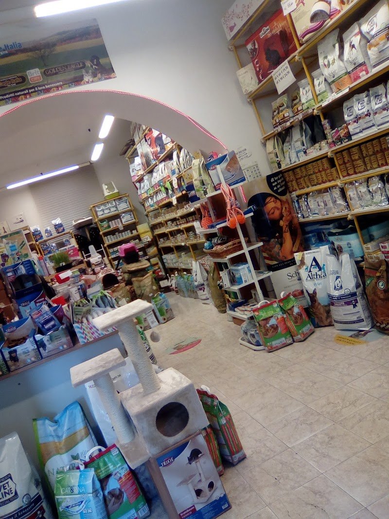 Animal's Club - Foto 2