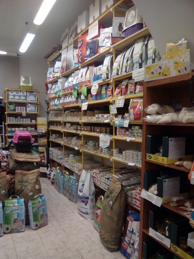 Animal's Club - Foto 5