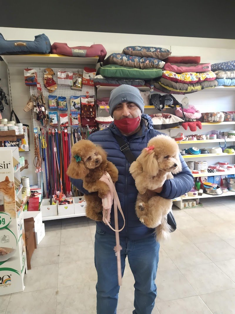 Animals' House Centro Benessere Cane - Foto 6