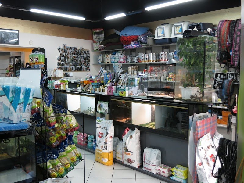 Animals Republic - Foto 1