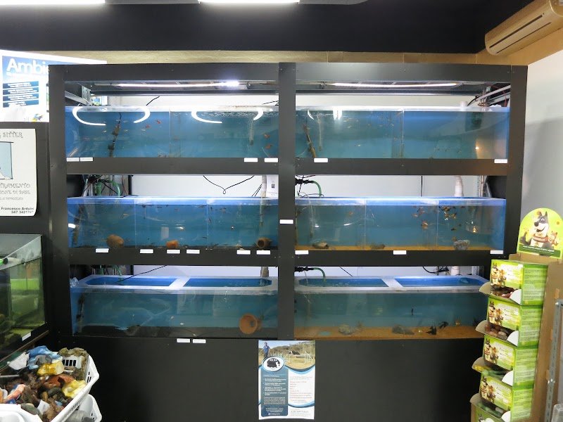 Animals Republic - Foto 5