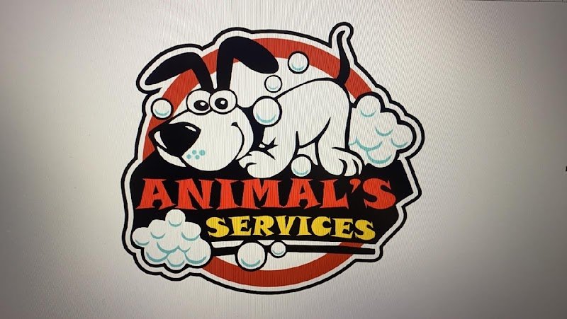 Animal's services - Foto 1