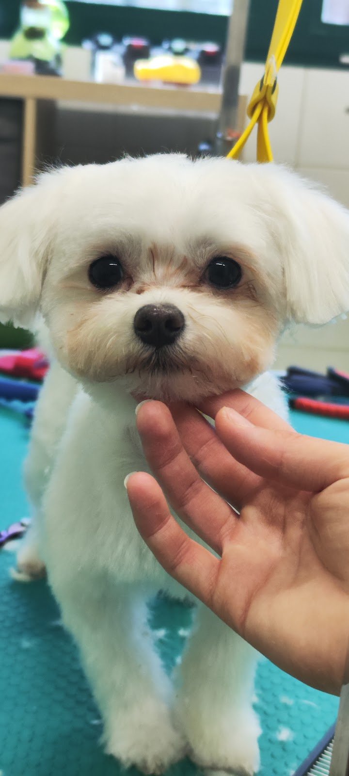 Arca di Noè - Foto 1