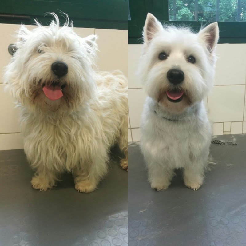 Arca di Noè - Foto 3