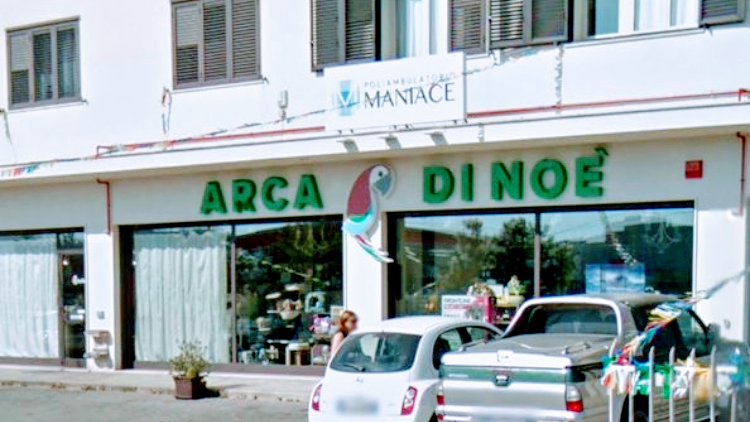 Arca Di Noe' - Foto 1